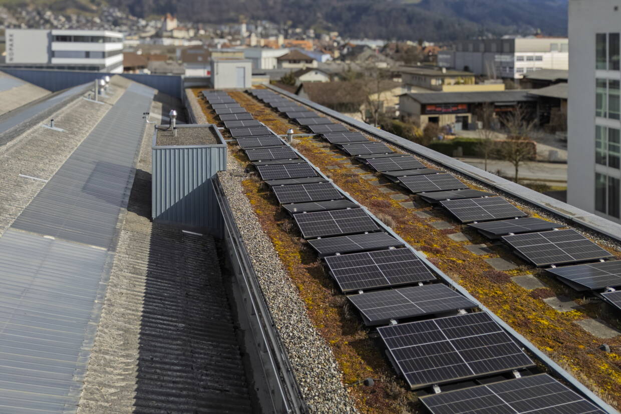 2025-02-21_solarpanels_industriestrasse_02.jpg 2025-02-21_solarpanels_industriestrasse_02.jpg