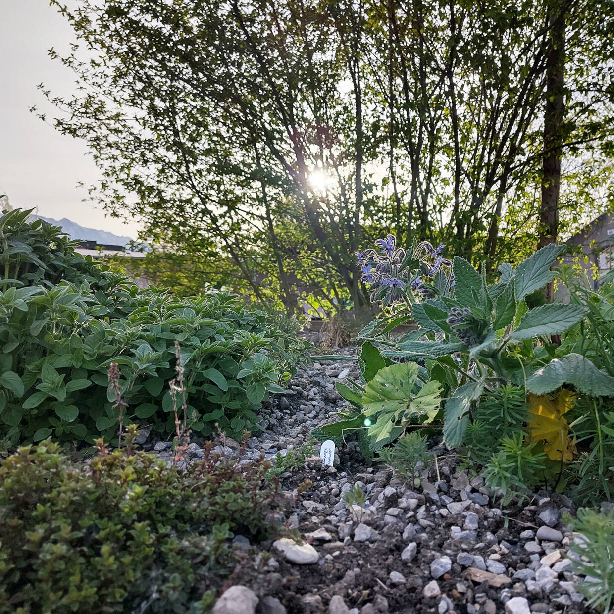 Gartenstadt Thun Gartenstadt Thun